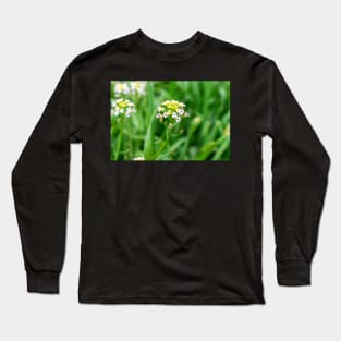 Cardamine pratensis Long Sleeve T-Shirt